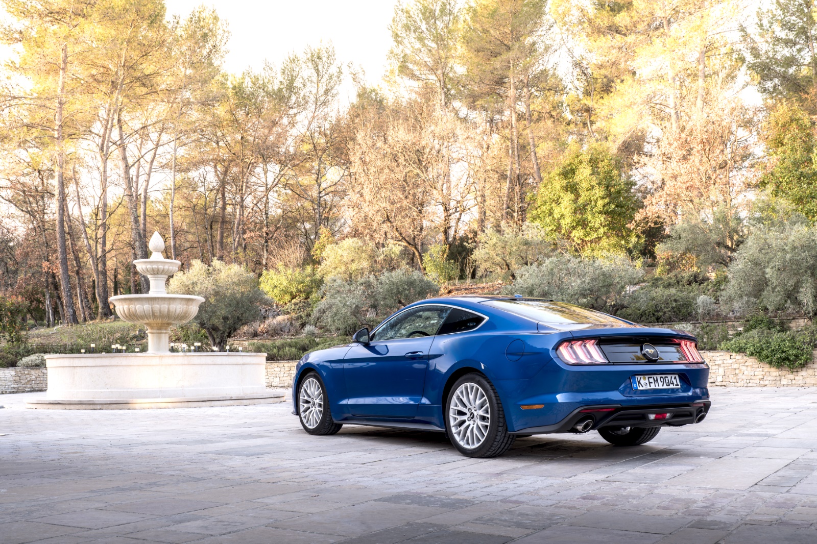 Foto van Ford Mustang Fastback