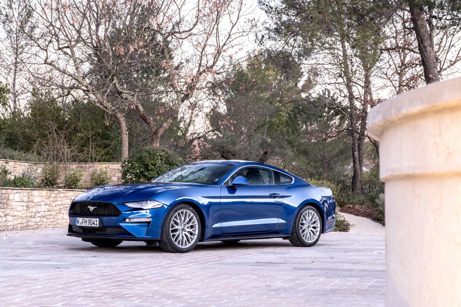 Foto van Ford Mustang Fastback