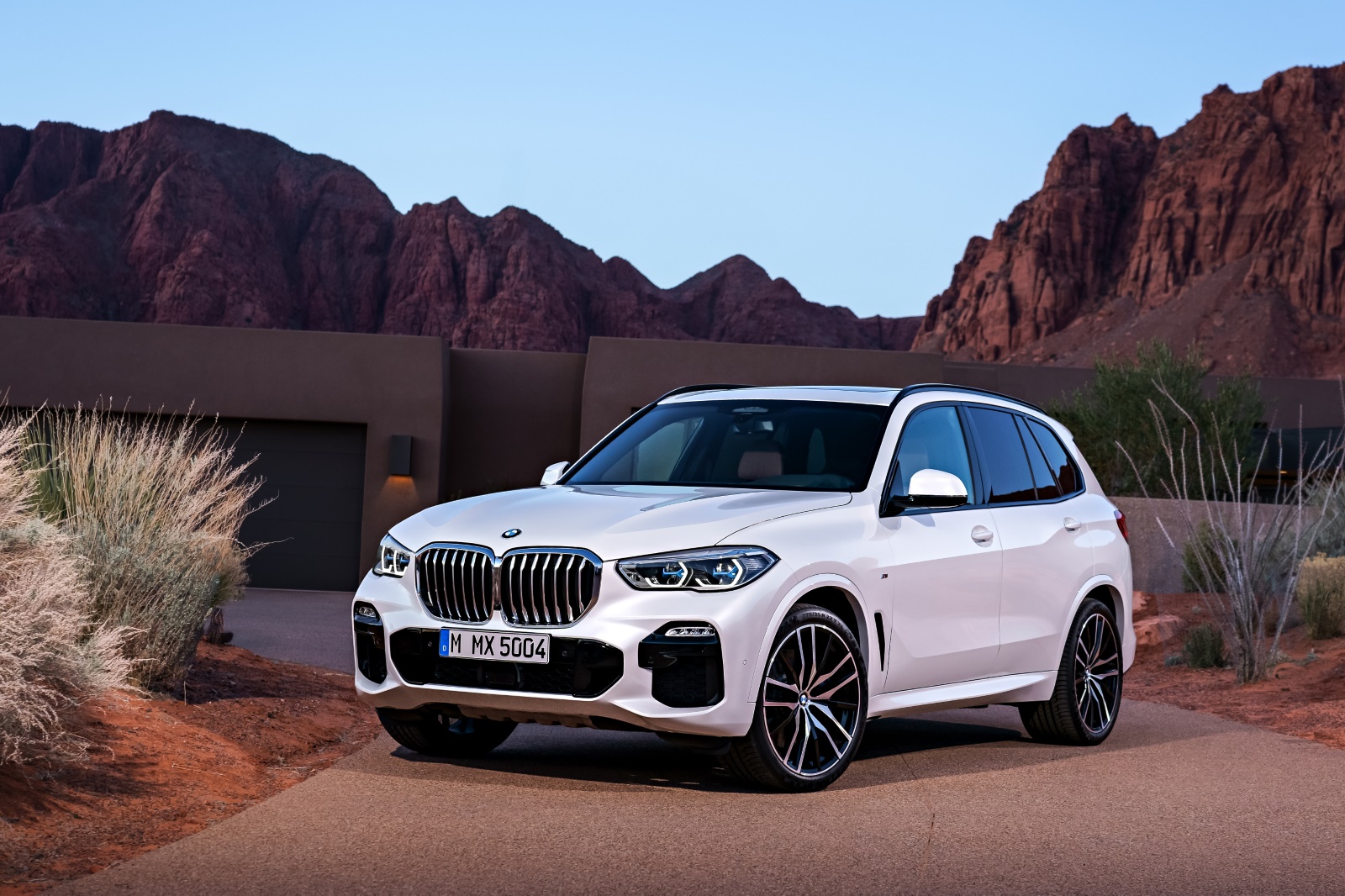 BMW X5 xDrive40i High Exec. 2019 - voorkant