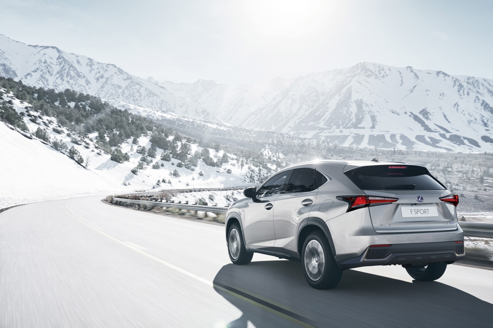 Foto van Lexus NX