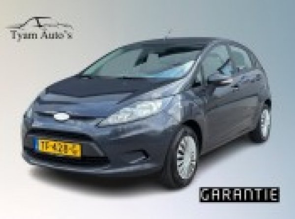 Ford Fiesta 1.25 Trend 2009 - voorkant