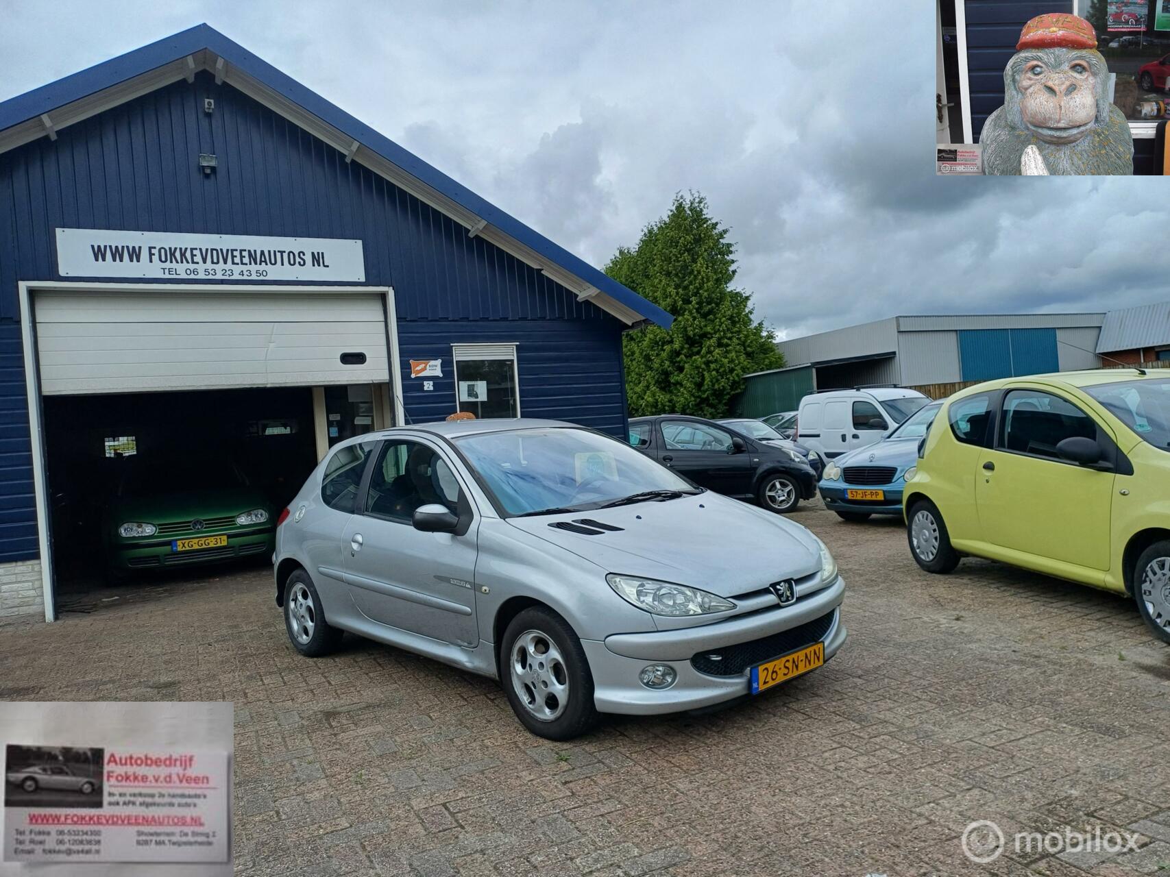 Foto van Peugeot 206