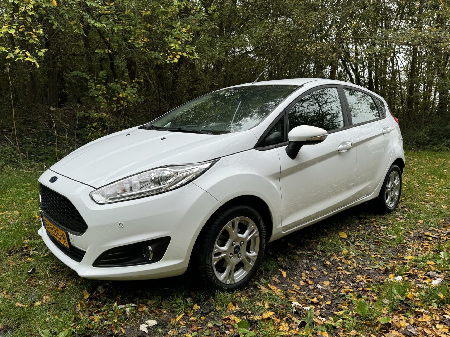 Ford Fiesta 1.0  2017 5DR Handgeschakeld 64500 KM 2017 - voorkant