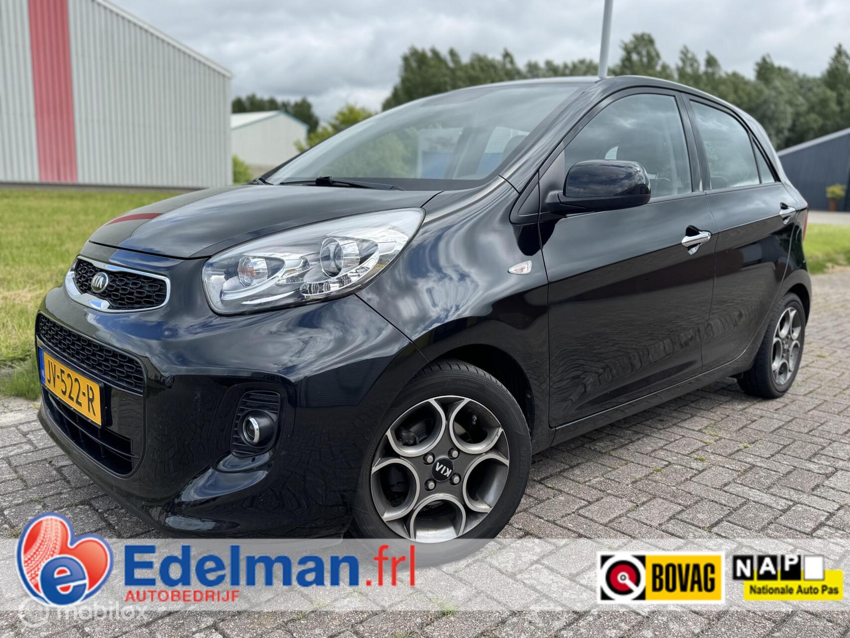 Kia Picanto 1.0 CVVT 5 DRS Colorline | NAP | CRUISE | CLIMA 2016 - voorkant