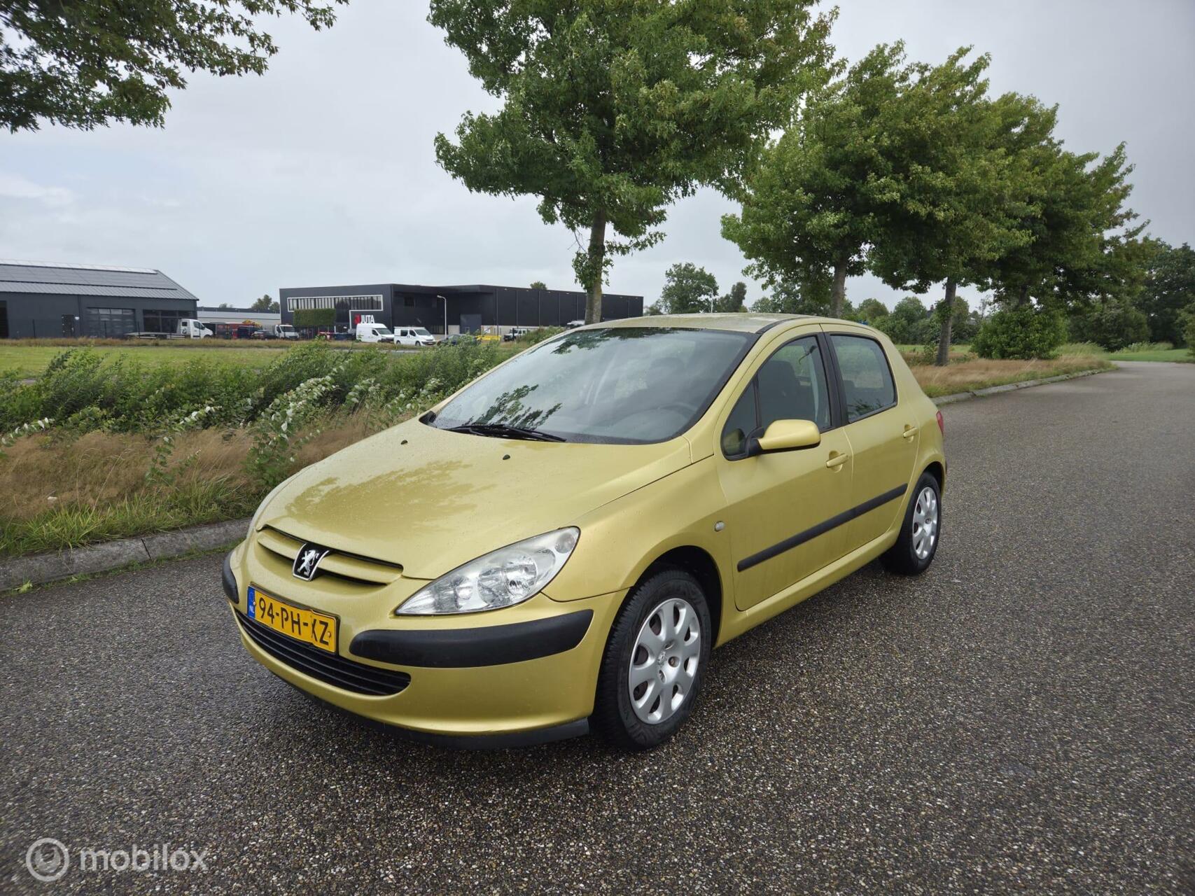Foto van PEUGEOT 307