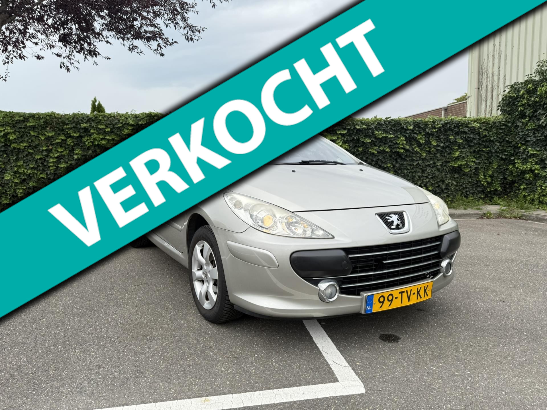 Foto van PEUGEOT 307