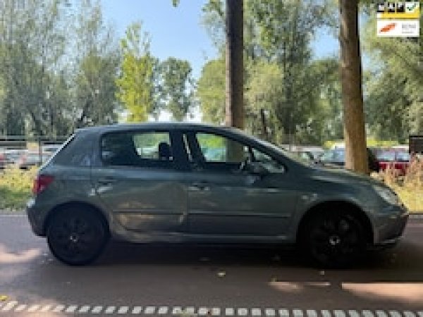Foto van Peugeot 307