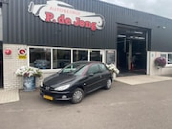Foto van Peugeot 206