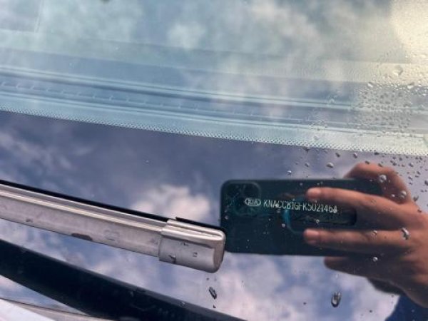Foto van Kia e-Niro