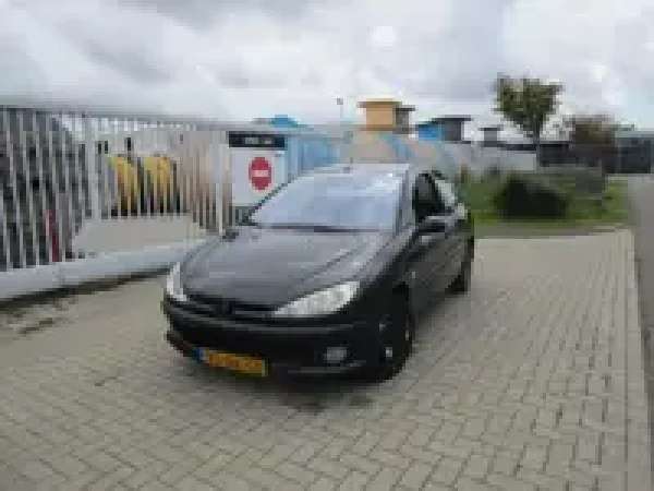 Foto van Peugeot 206