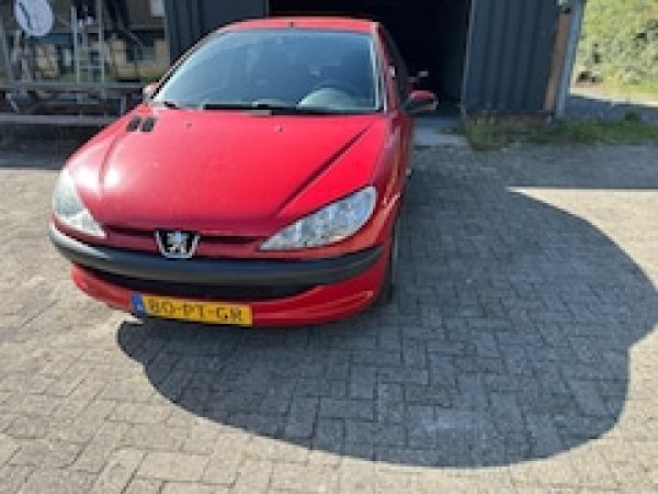 Foto van Peugeot 206