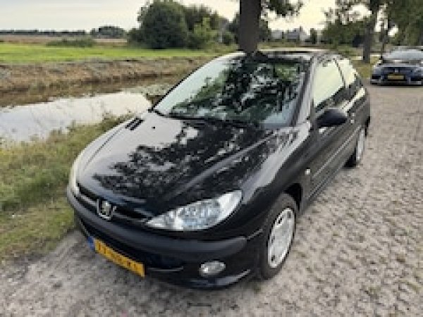 Foto van Peugeot 206