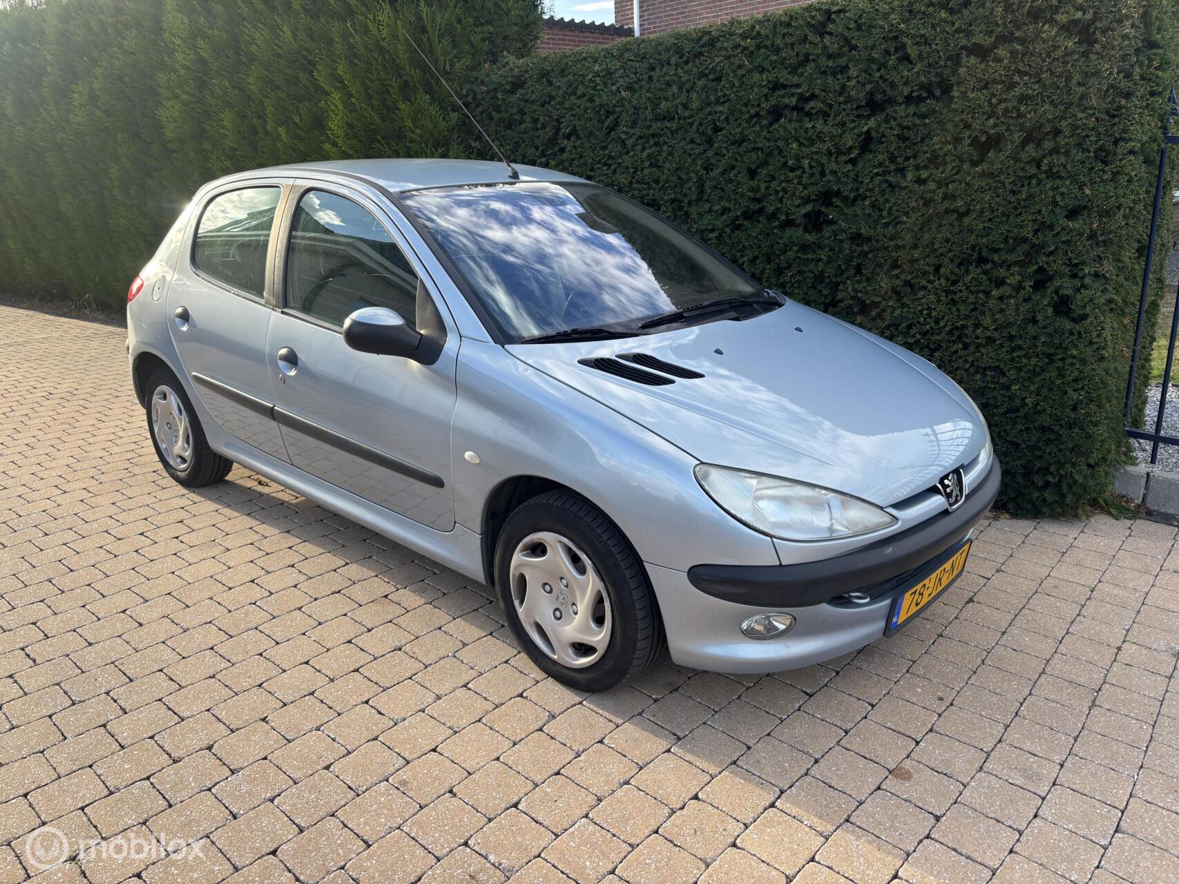 Foto van PEUGEOT 206