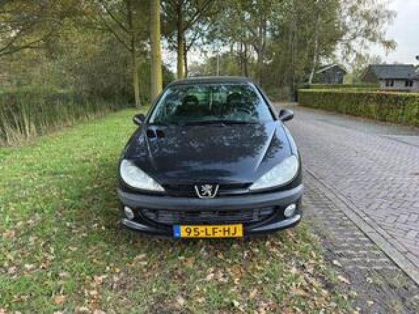 Foto van Peugeot 206