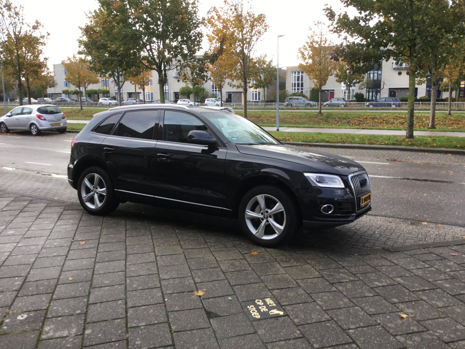 Inspectiefoto van Audi Q5