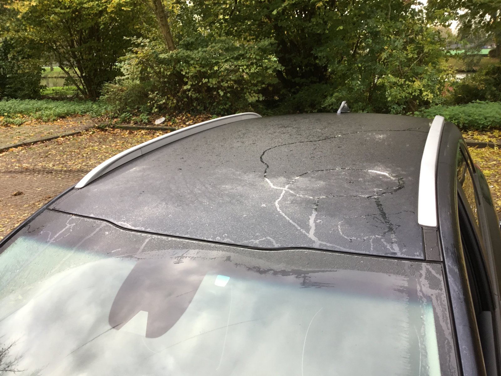Inspectiefoto van Kia E-niro