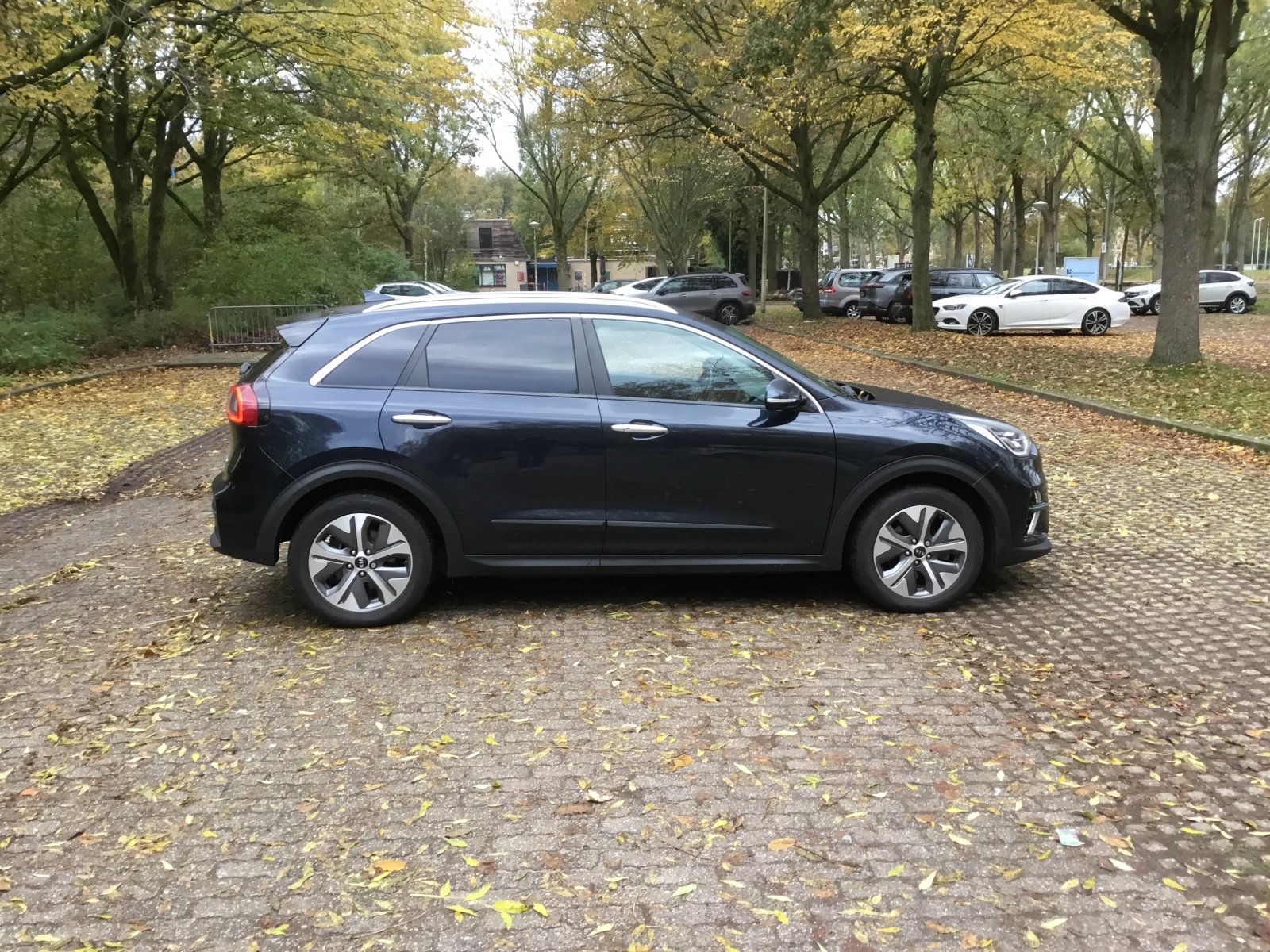 Inspectiefoto van Kia E-niro