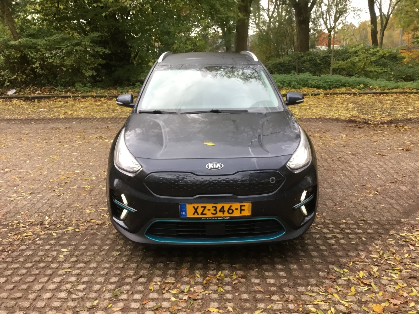 Inspectiefoto van Kia E-niro