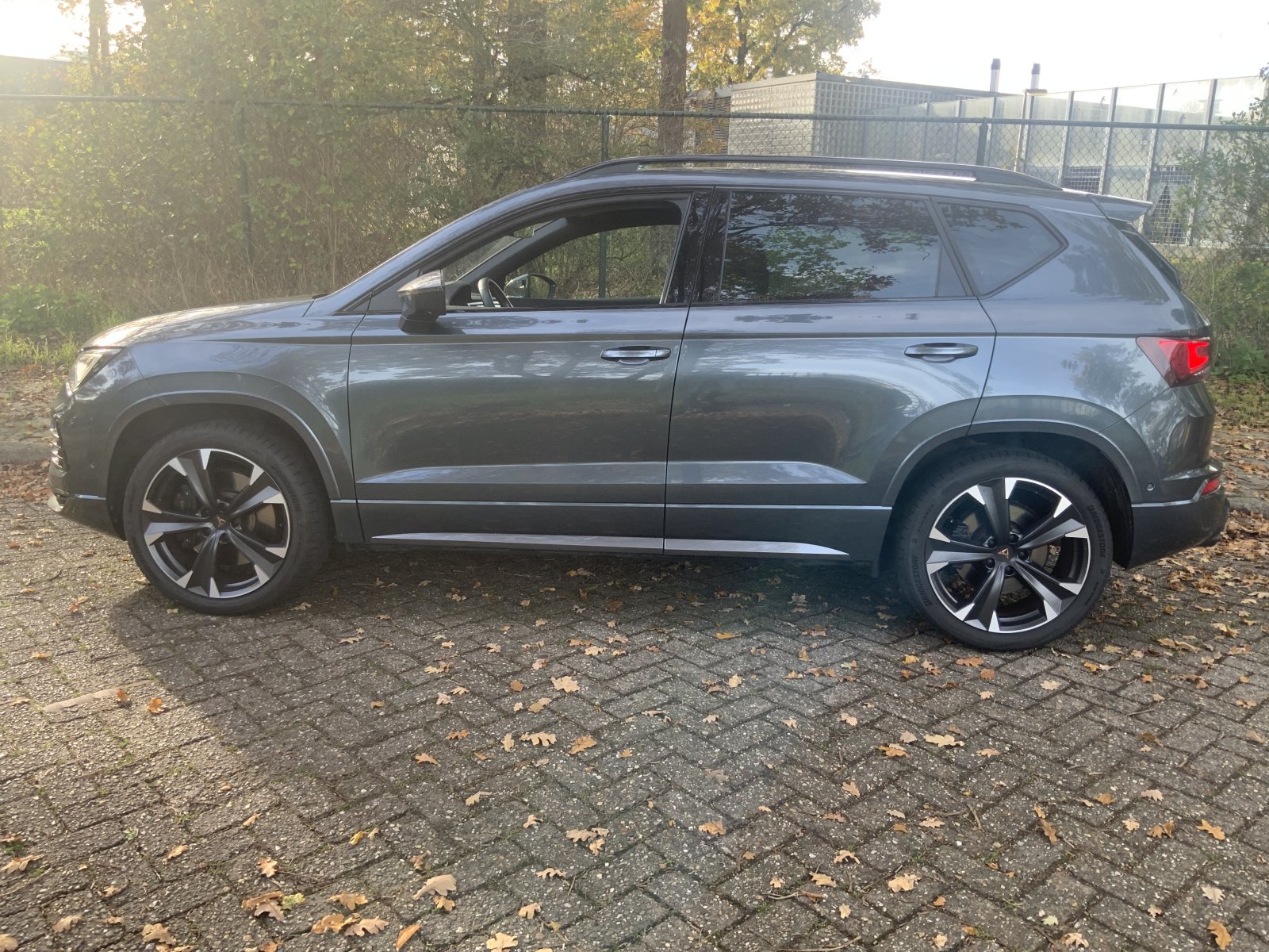 Inspectiefoto van Cupra Ateca