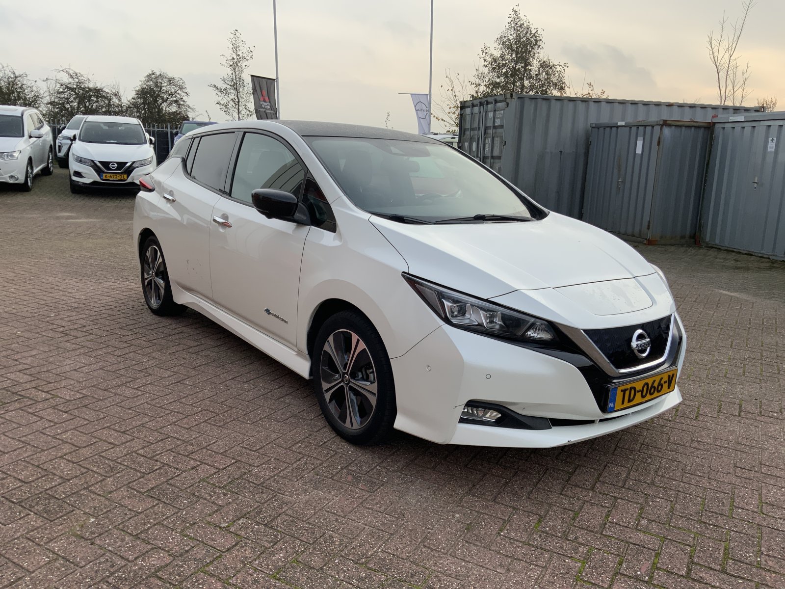 Inspectiefoto van Nissan Leaf