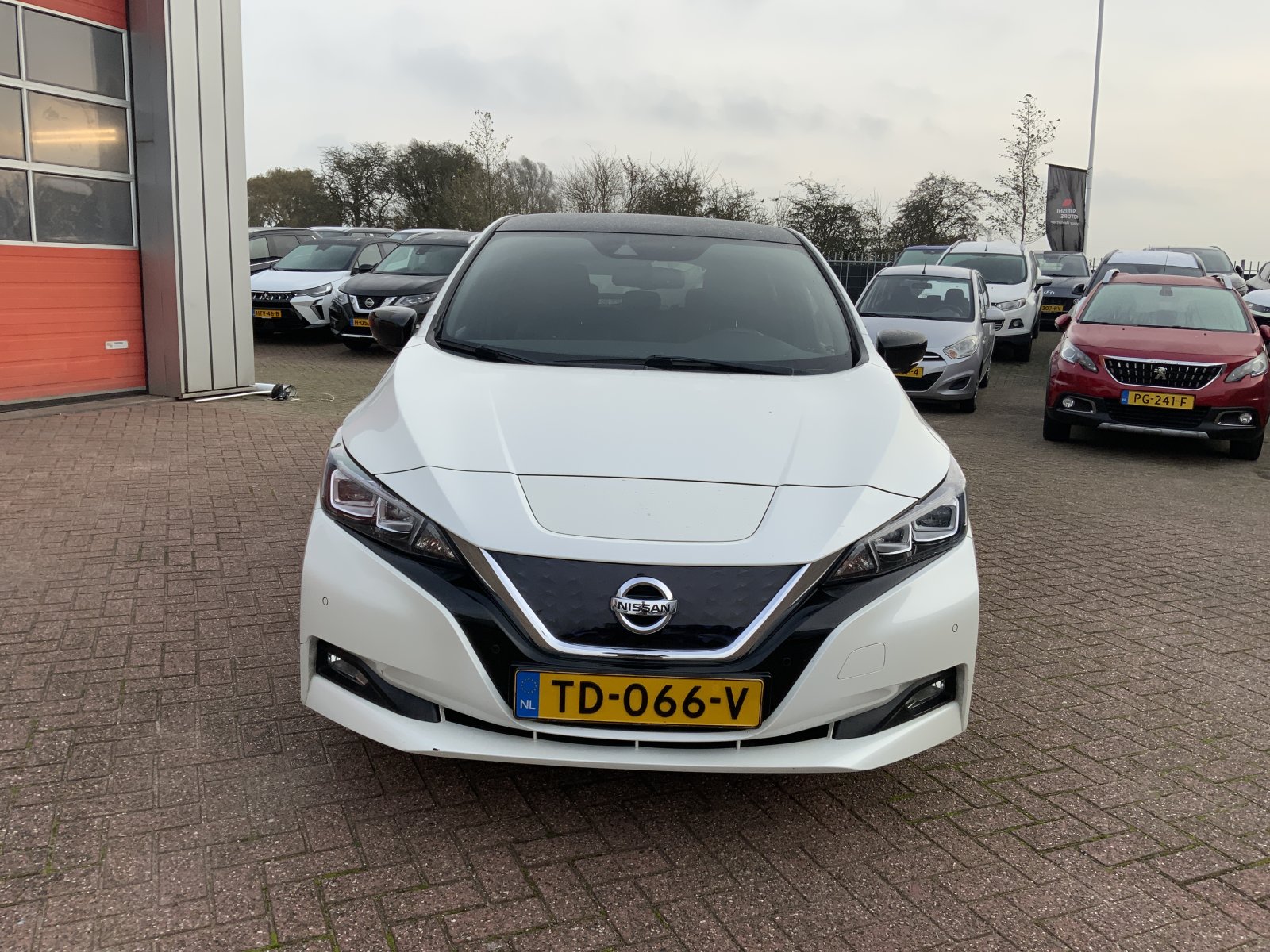 Inspectiefoto van Nissan Leaf