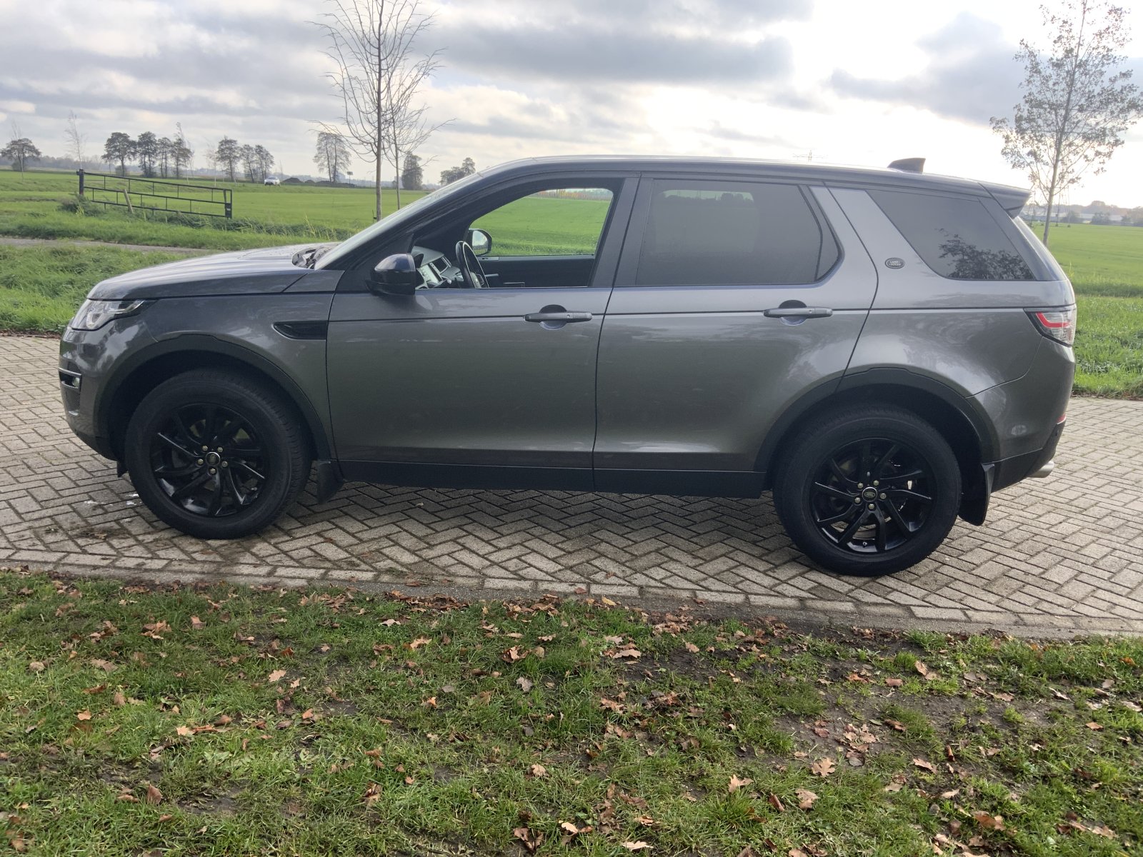 Inspectiefoto van Land Rover Discovery Sport