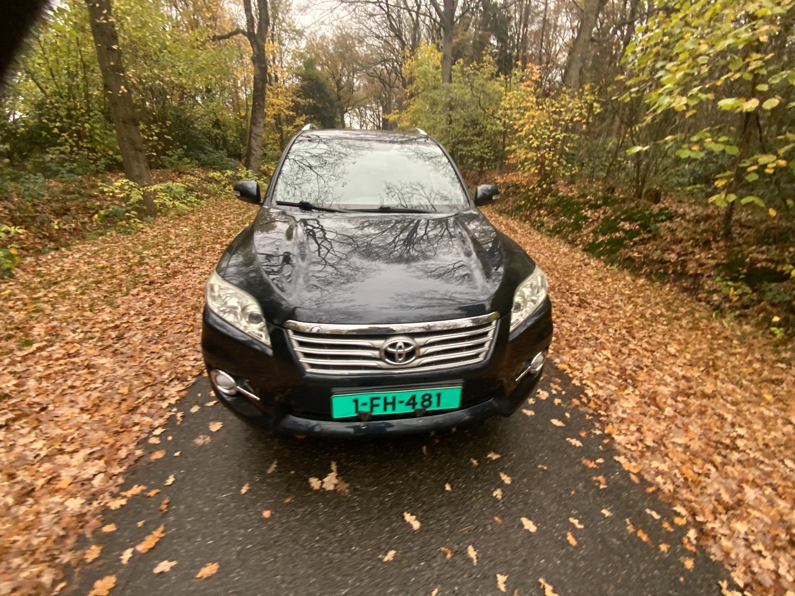 Inspectiefoto van Toyota Rav4