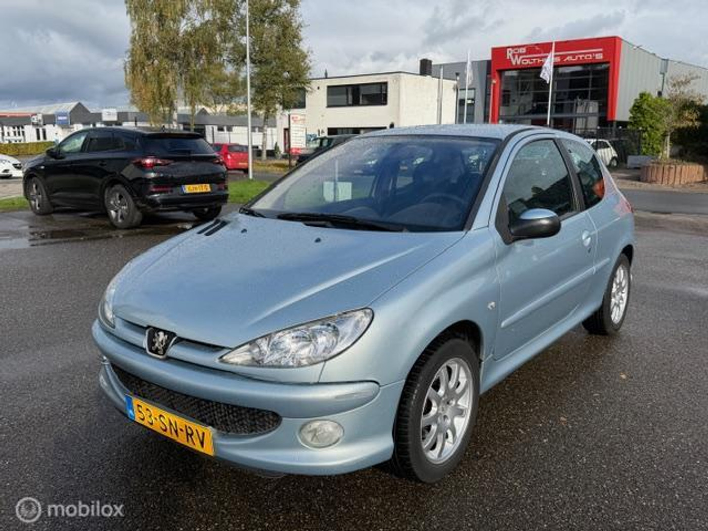 Foto van PEUGEOT 206