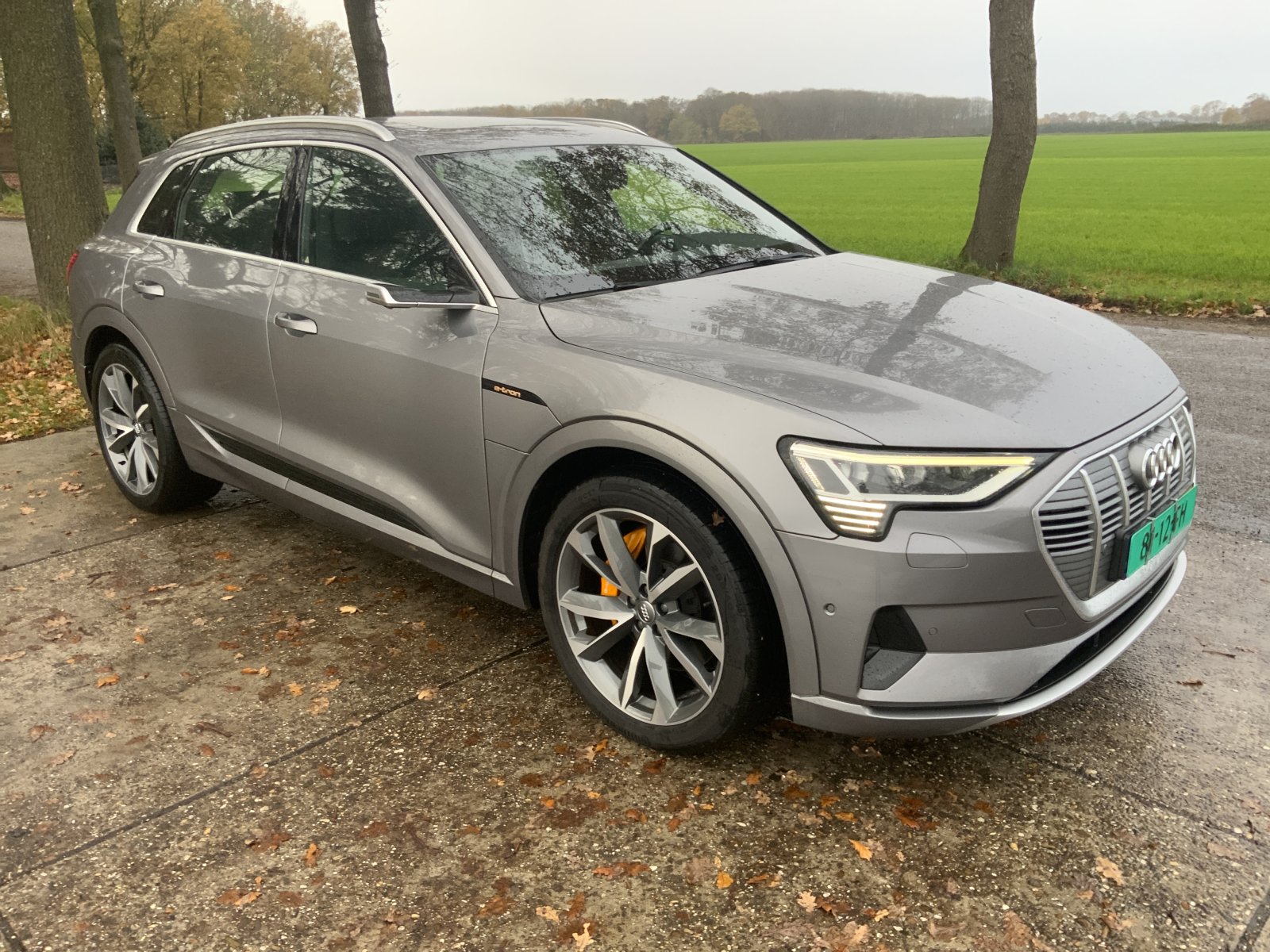 Inspectiefoto van Audi E-tron