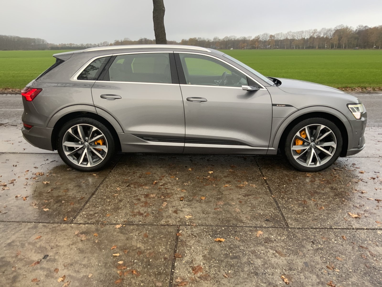 Inspectiefoto van Audi E-tron
