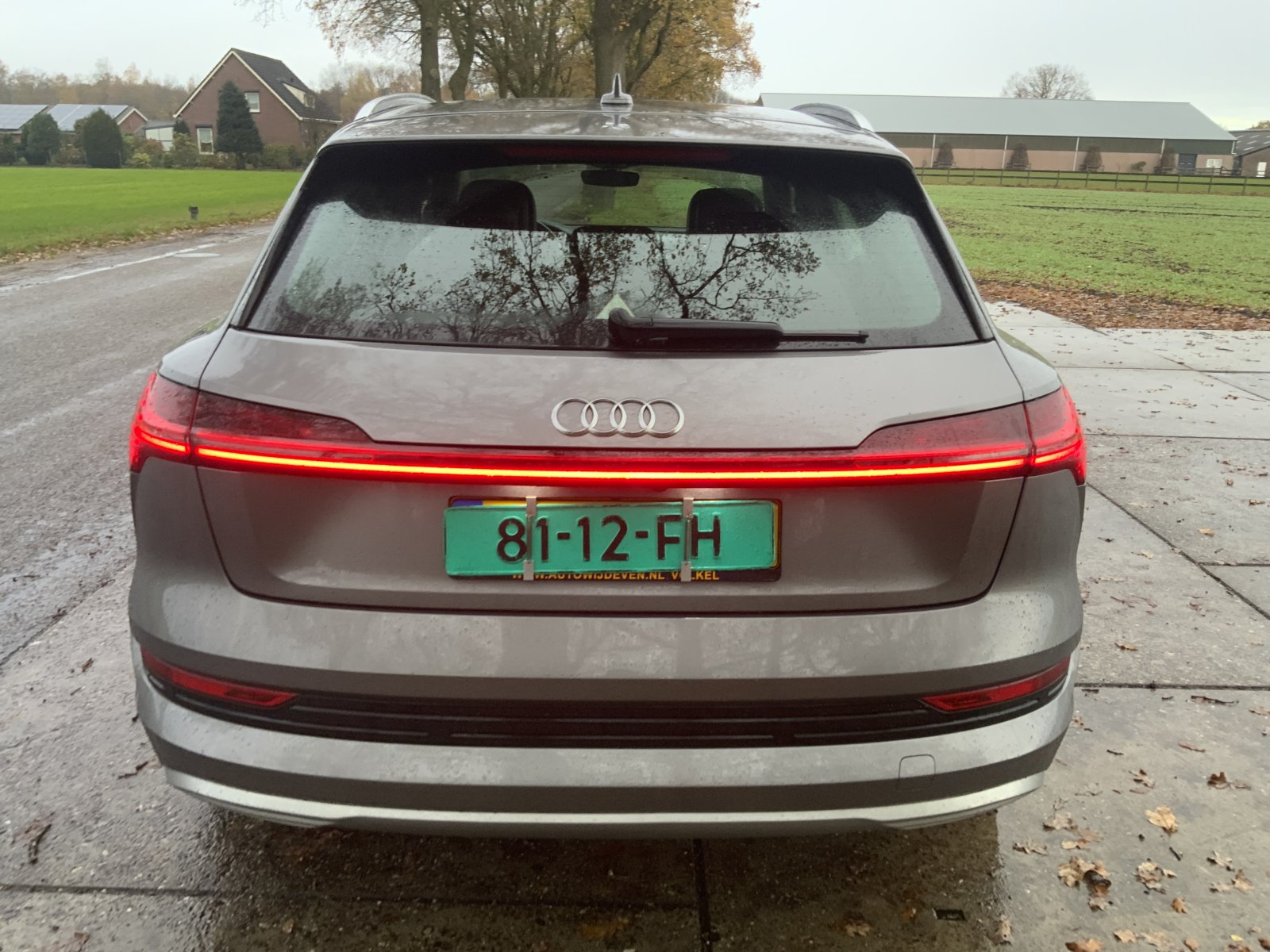 Inspectiefoto van Audi E-tron