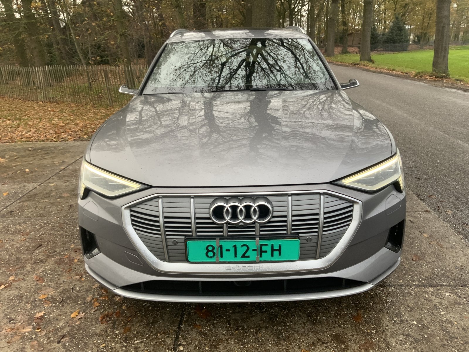 Inspectiefoto van Audi E-tron
