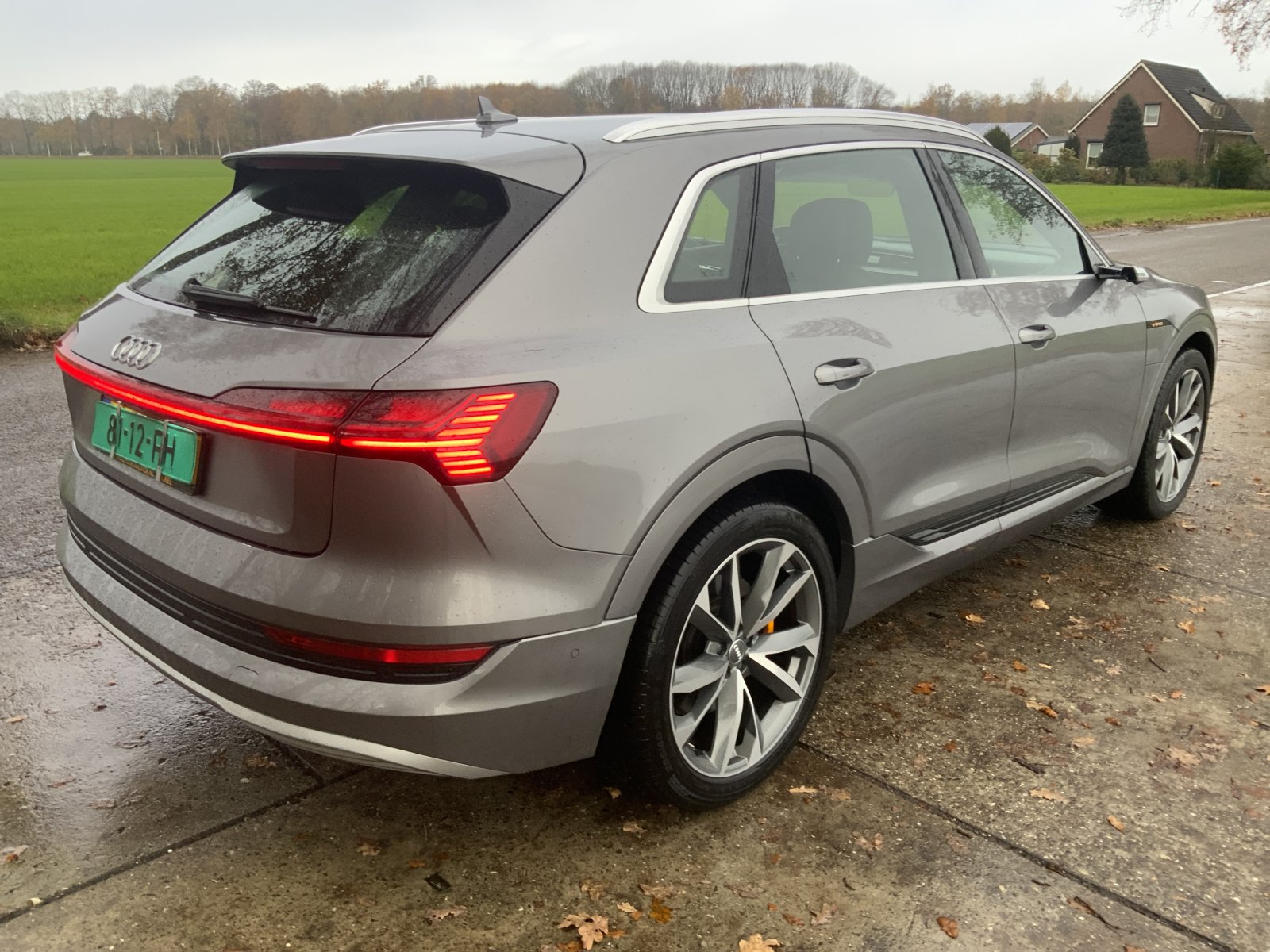 Inspectiefoto van Audi E-tron