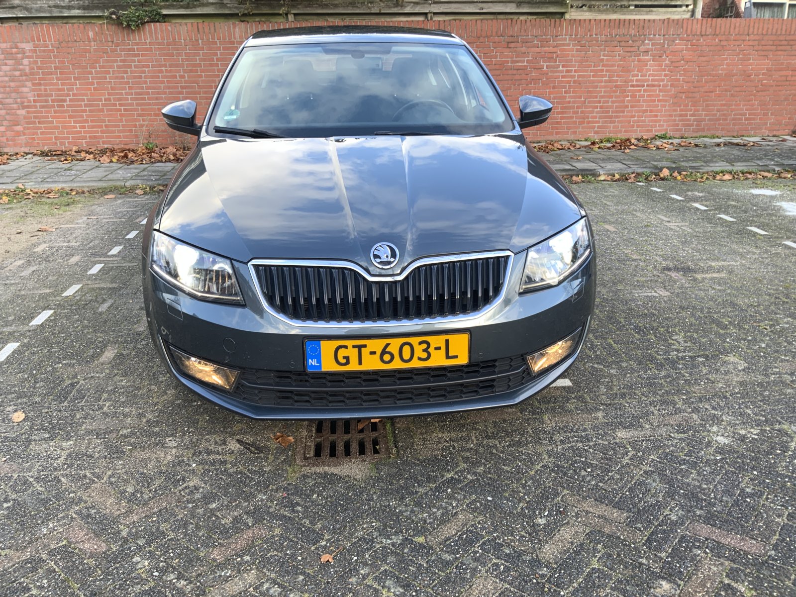 Inspectiefoto van Skoda Octavia