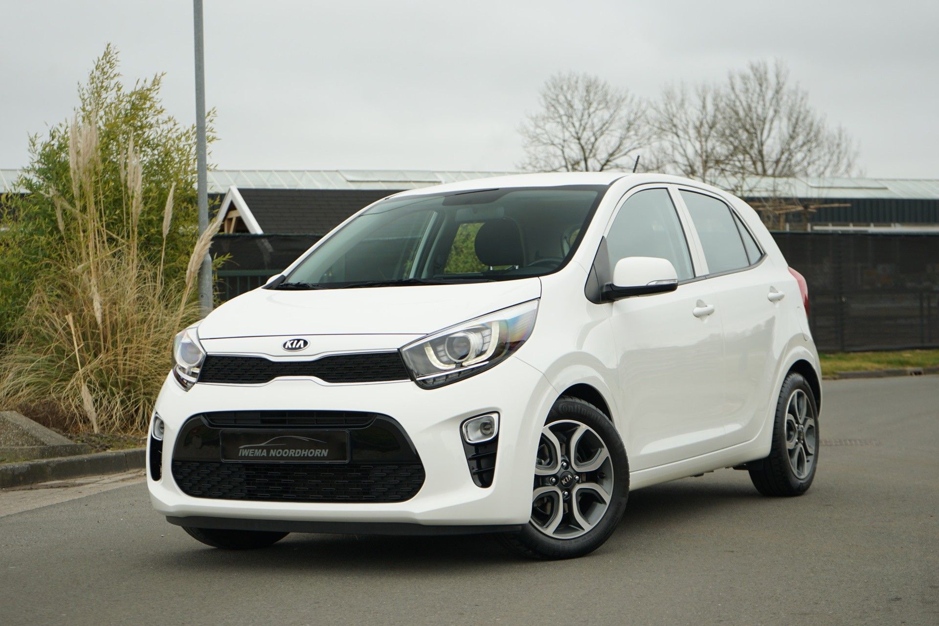 Kia Picanto 1.0 Cvvt 67pk 5-zits 2017 Wit First Edition Navi|Camera|Apple Carplay|LED|Cruise control|Climate control 2017 - voorkant