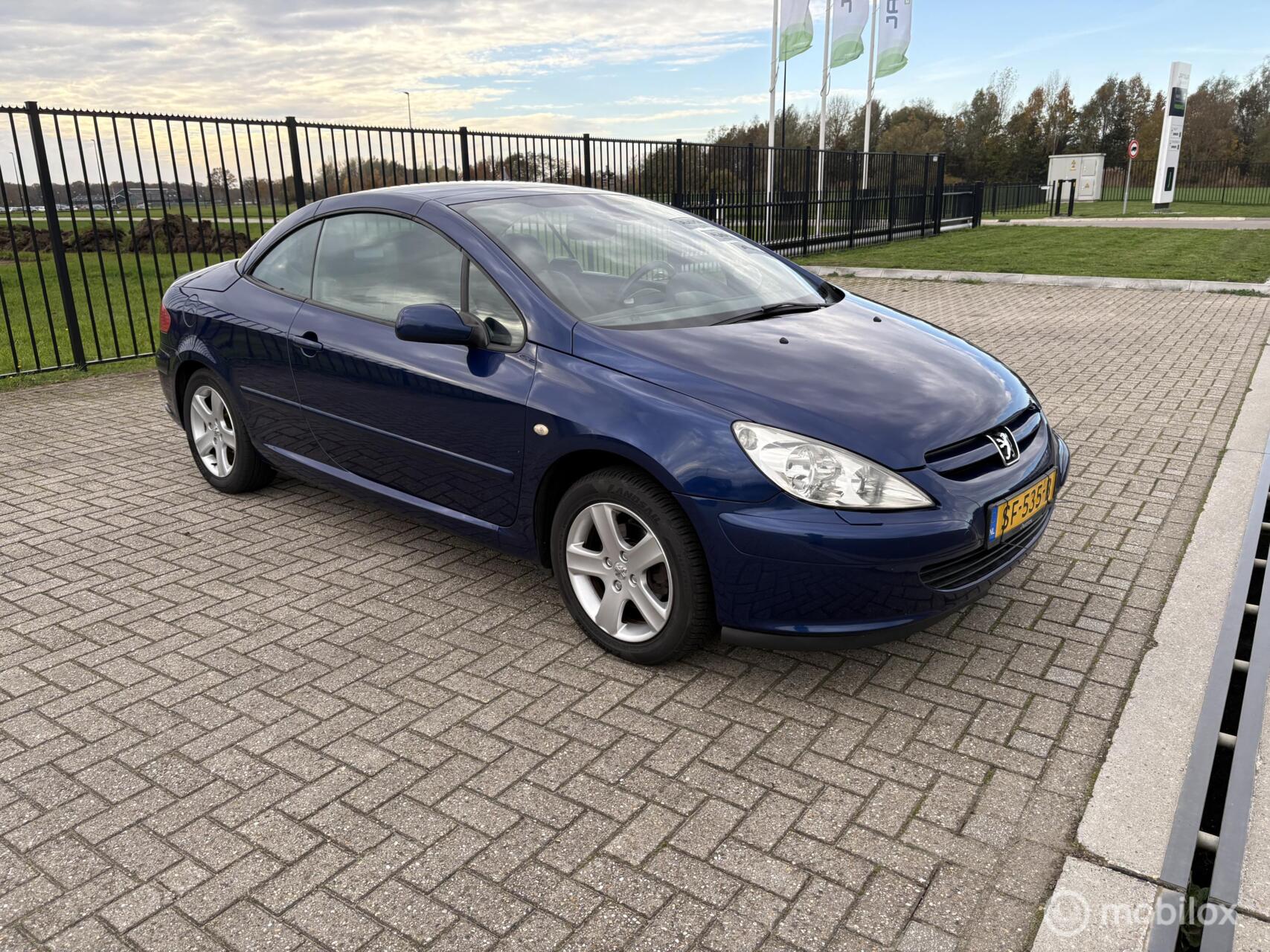 Foto van PEUGEOT 307