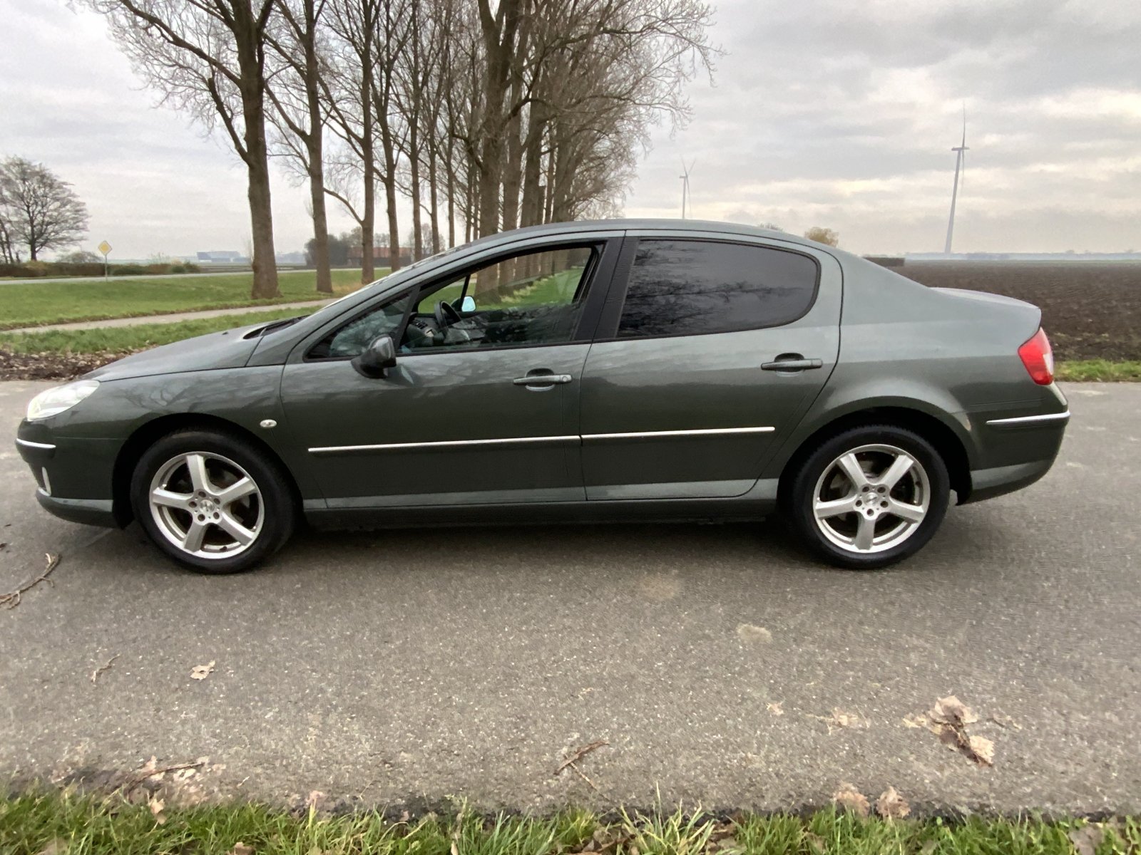 Inspectiefoto van Peugeot 407