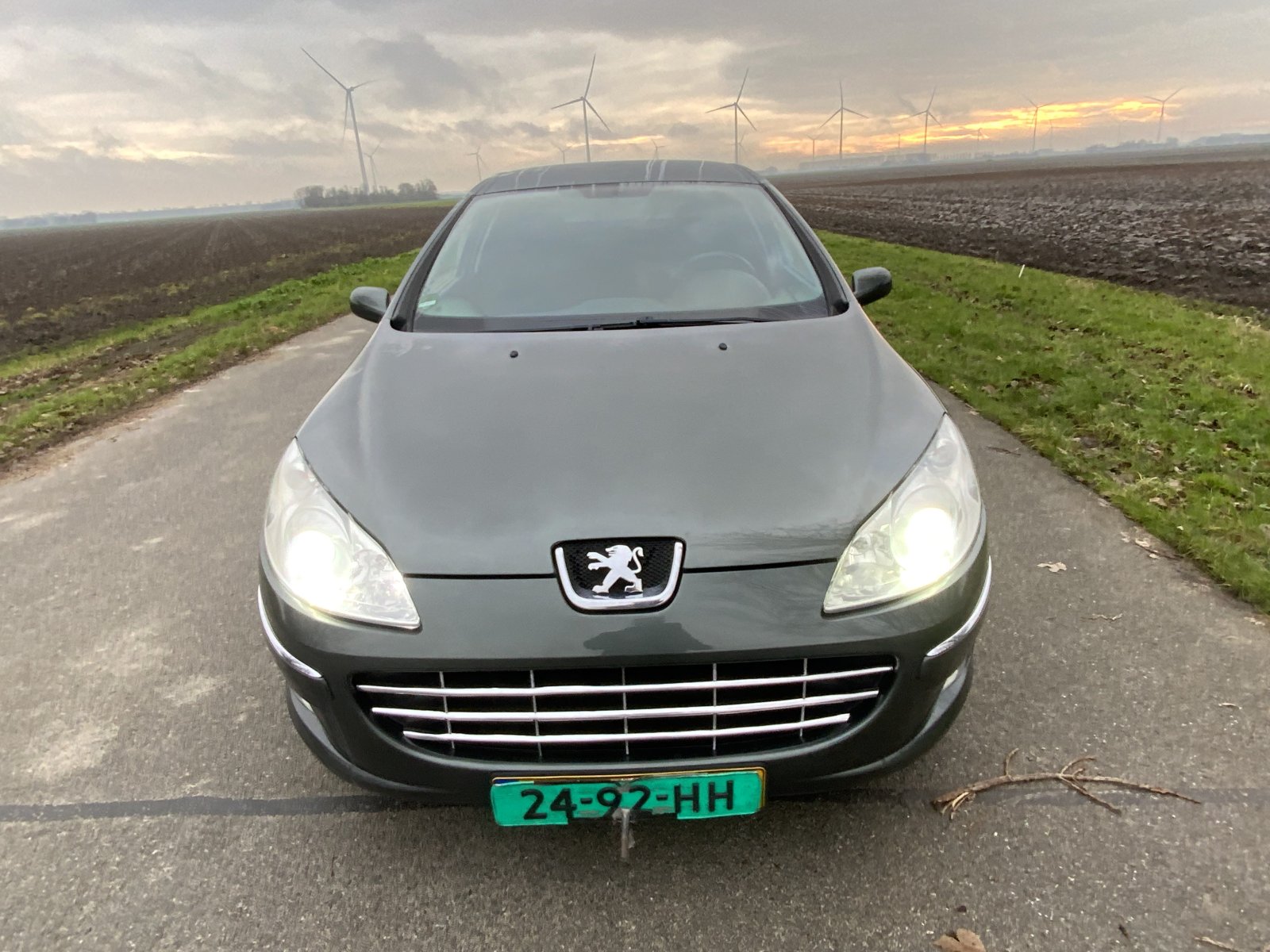 Inspectiefoto van Peugeot 407