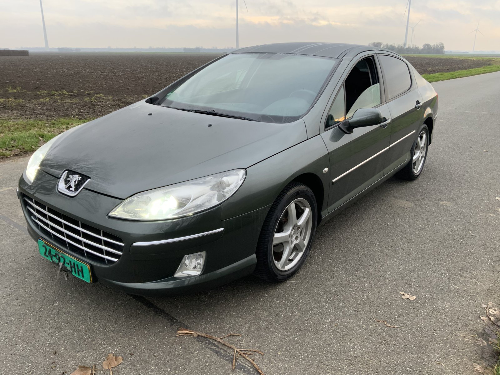 Inspectiefoto van Peugeot 407