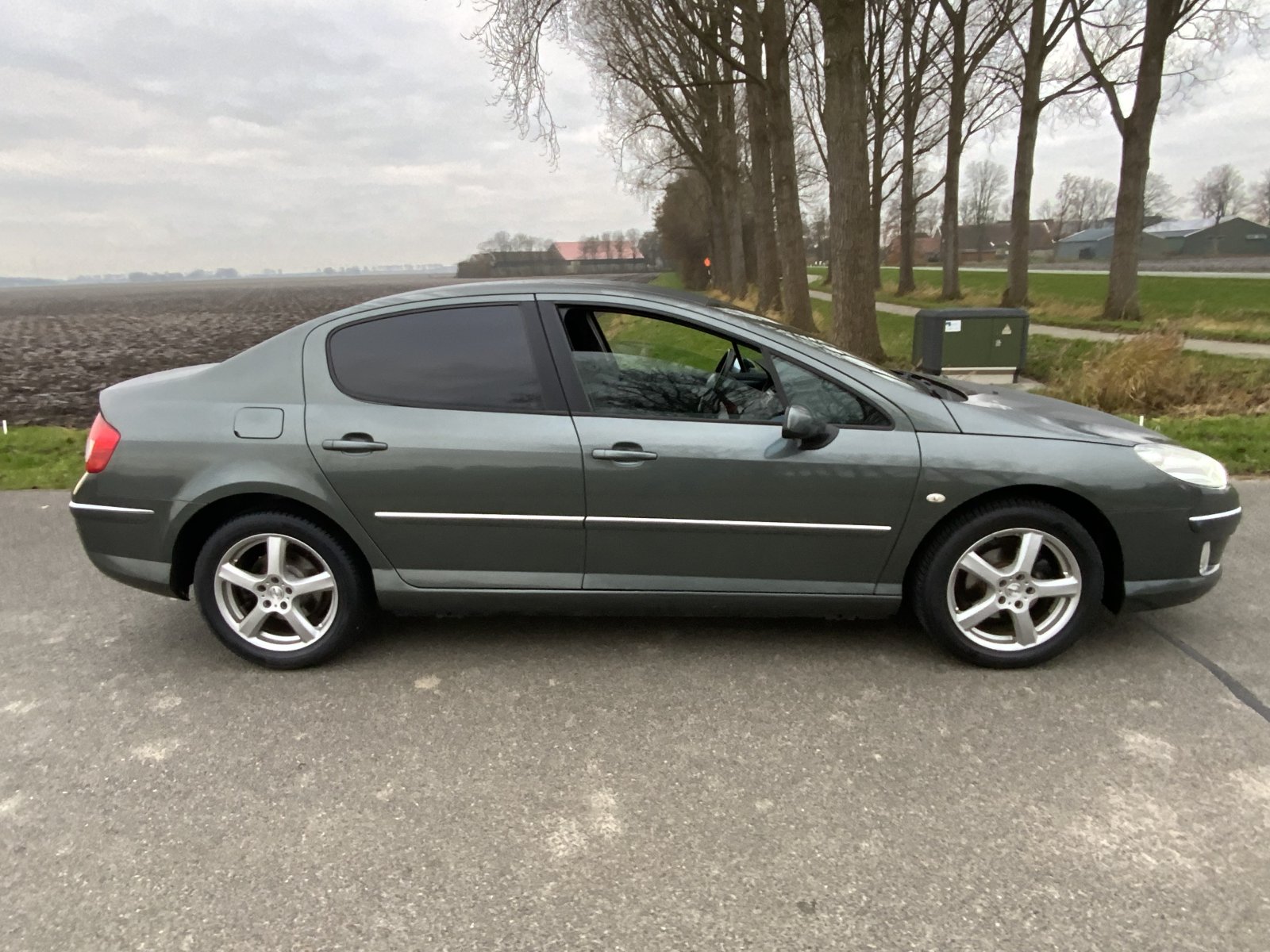 Inspectiefoto van Peugeot 407