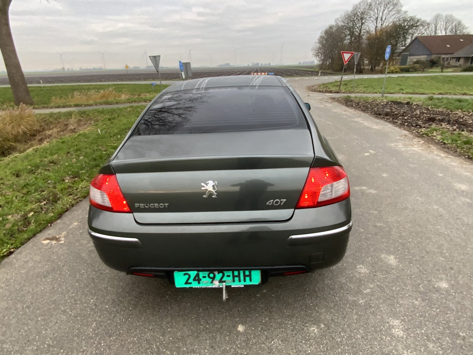 Inspectiefoto van Peugeot 407