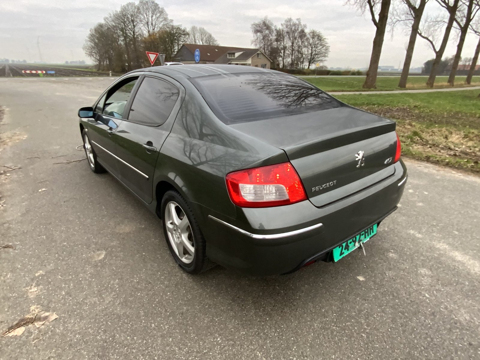 Inspectiefoto van Peugeot 407