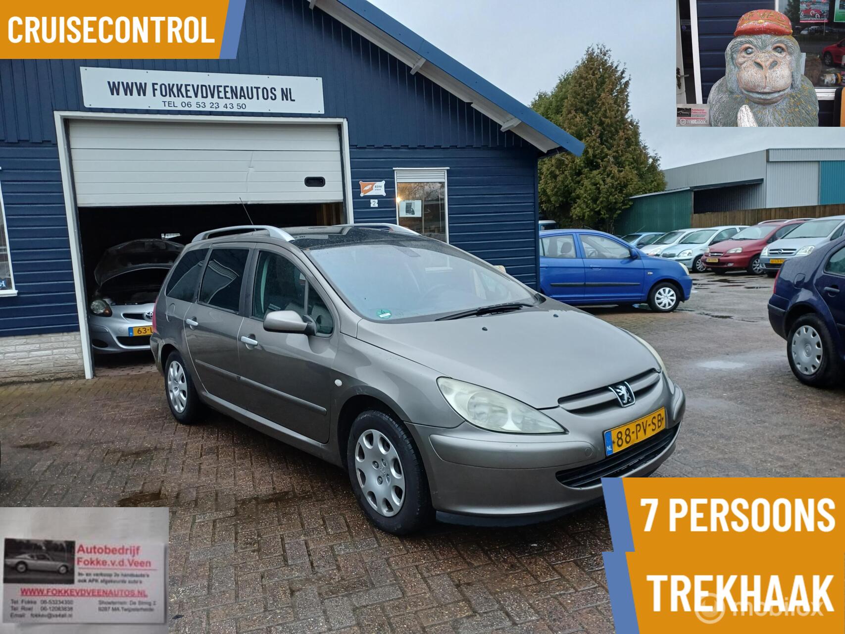 Foto van PEUGEOT 307