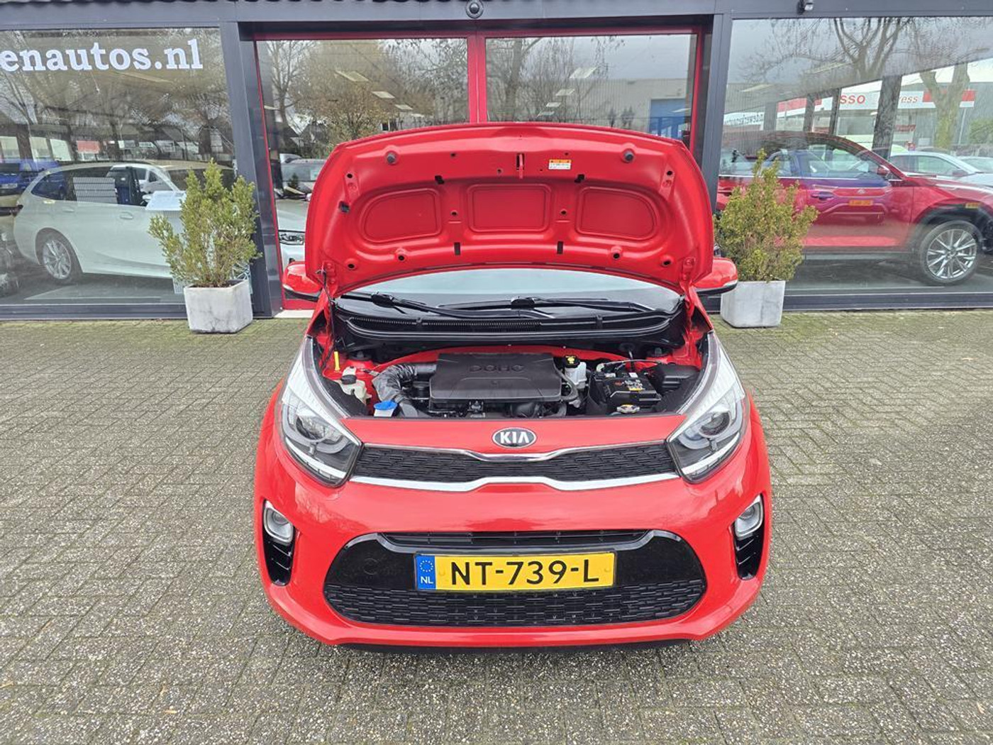 Foto van Kia Picanto