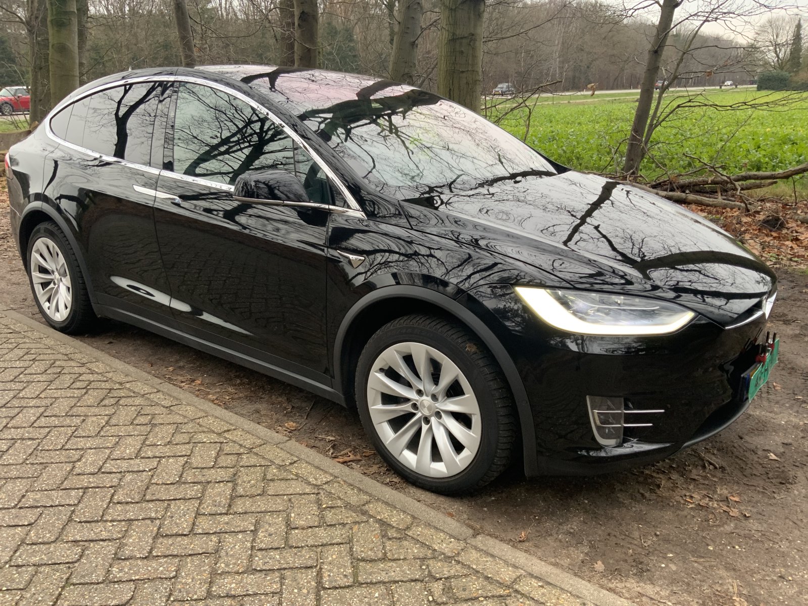 Inspectiefoto van Tesla Model X