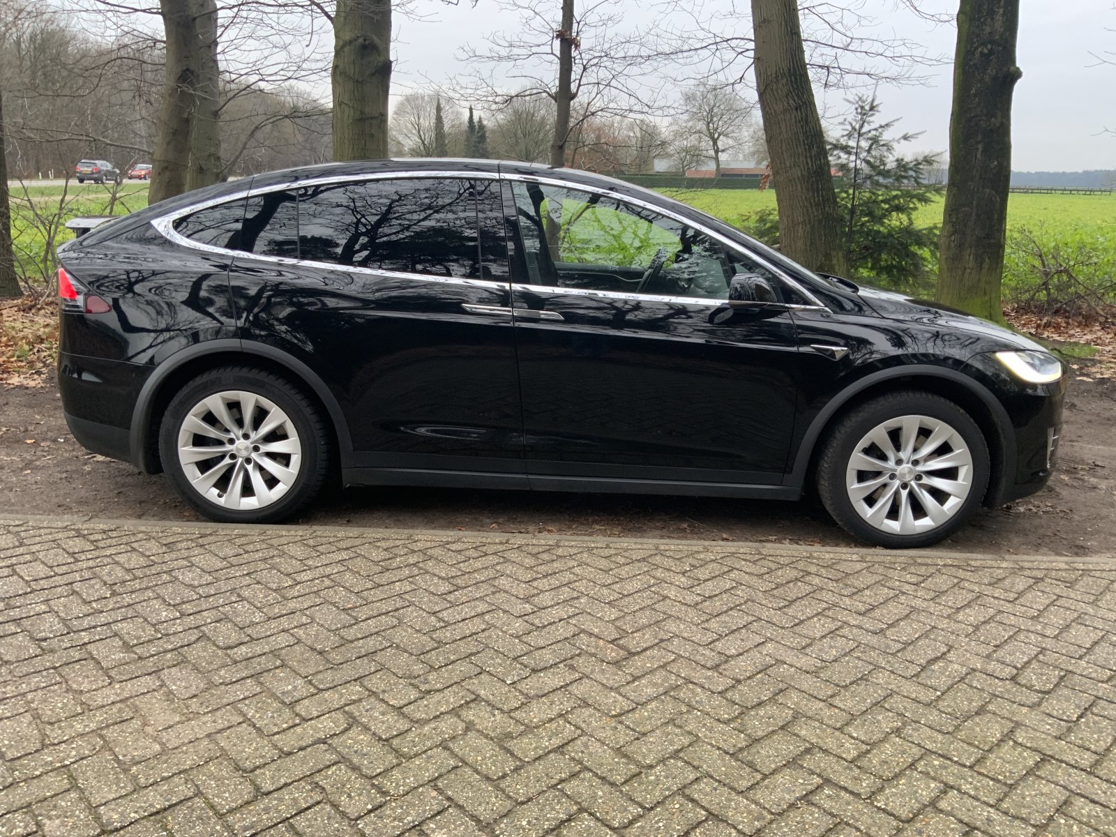 Inspectiefoto van Tesla Model X