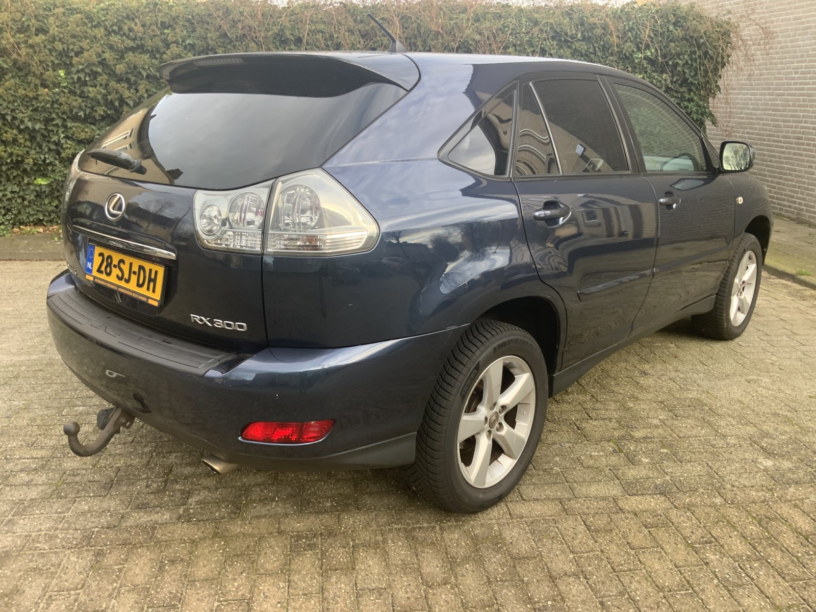 Inspectiefoto van Lexus RX