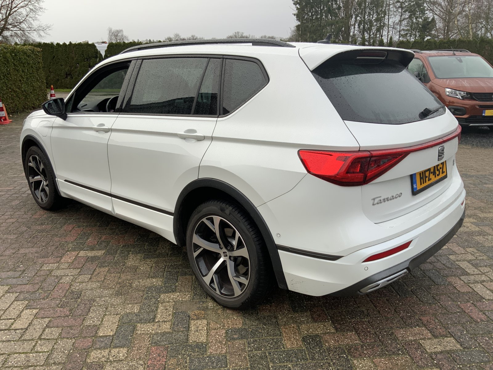 Inspectiefoto van Seat Tarraco