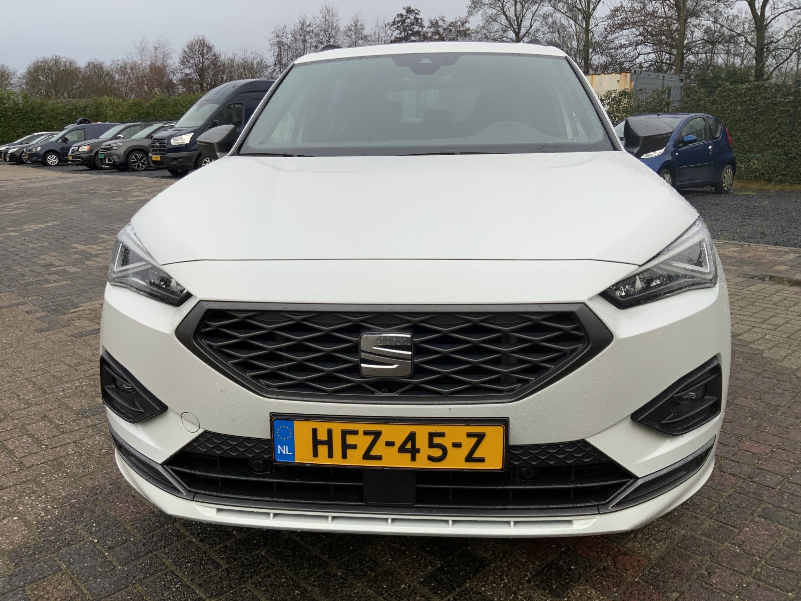 Inspectiefoto van Seat Tarraco