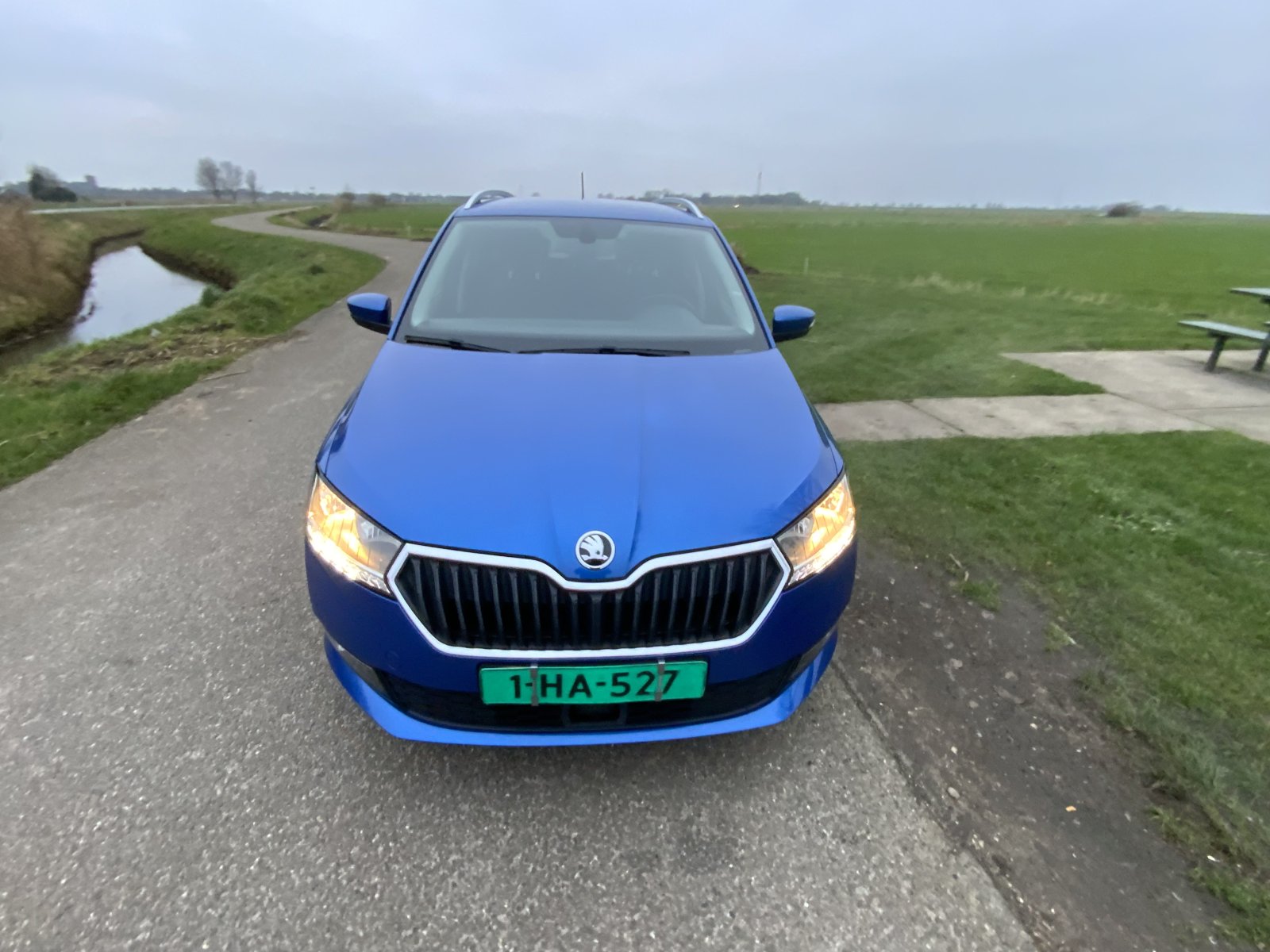 Inspectiefoto van Skoda Fabia Combi